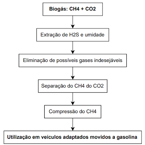 Aplicação do biogás como alternativa de substituição ao GNV