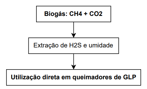 Aplicação do biogás como alternativa de substituição ao GLP